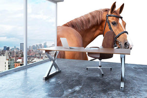 Russian Don horse Wall Mural Wallpaper - Canvas Art Rocks - 3
