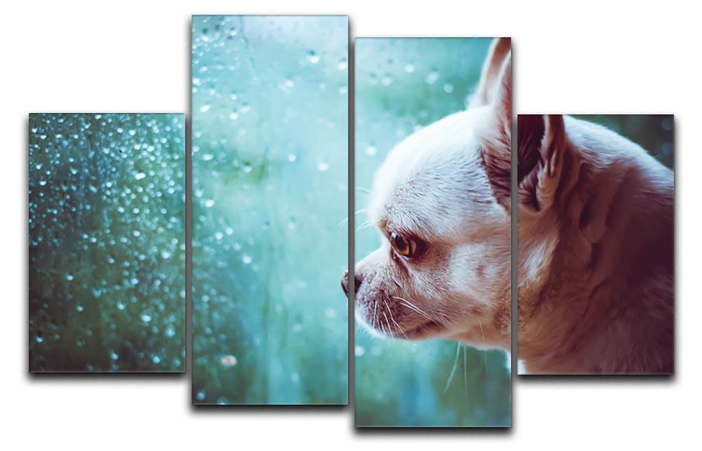 Sad Chihuahua dog 4 Split Panel Canvas - Canvas Art Rocks - 1