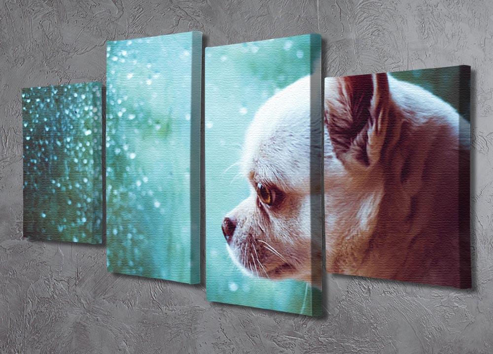 Sad Chihuahua dog 4 Split Panel Canvas - Canvas Art Rocks - 2