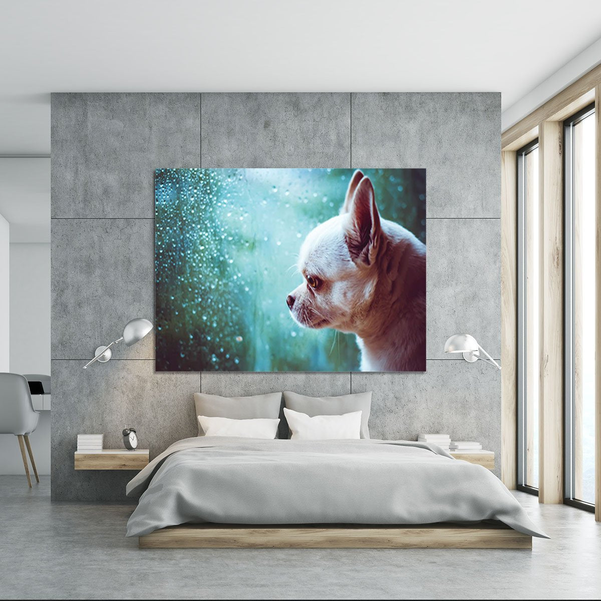 Sad Chihuahua dog Canvas Print or Poster