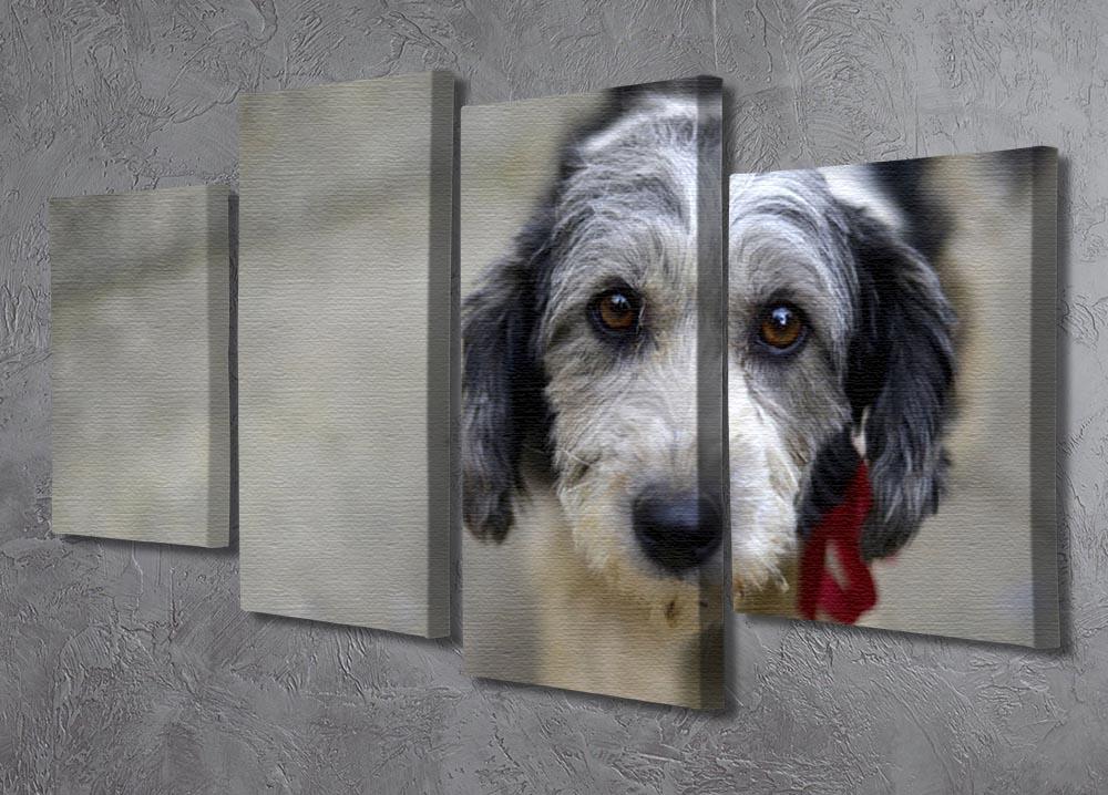 Sad look of a cute stray dog 4 Split Panel Canvas - Canvas Art Rocks - 2