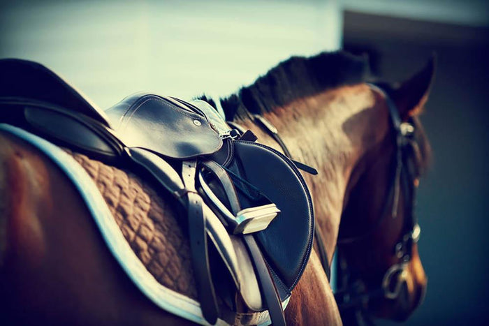 Saddle with stirrups on a back of a brown horse Wall Mural Wallpaper