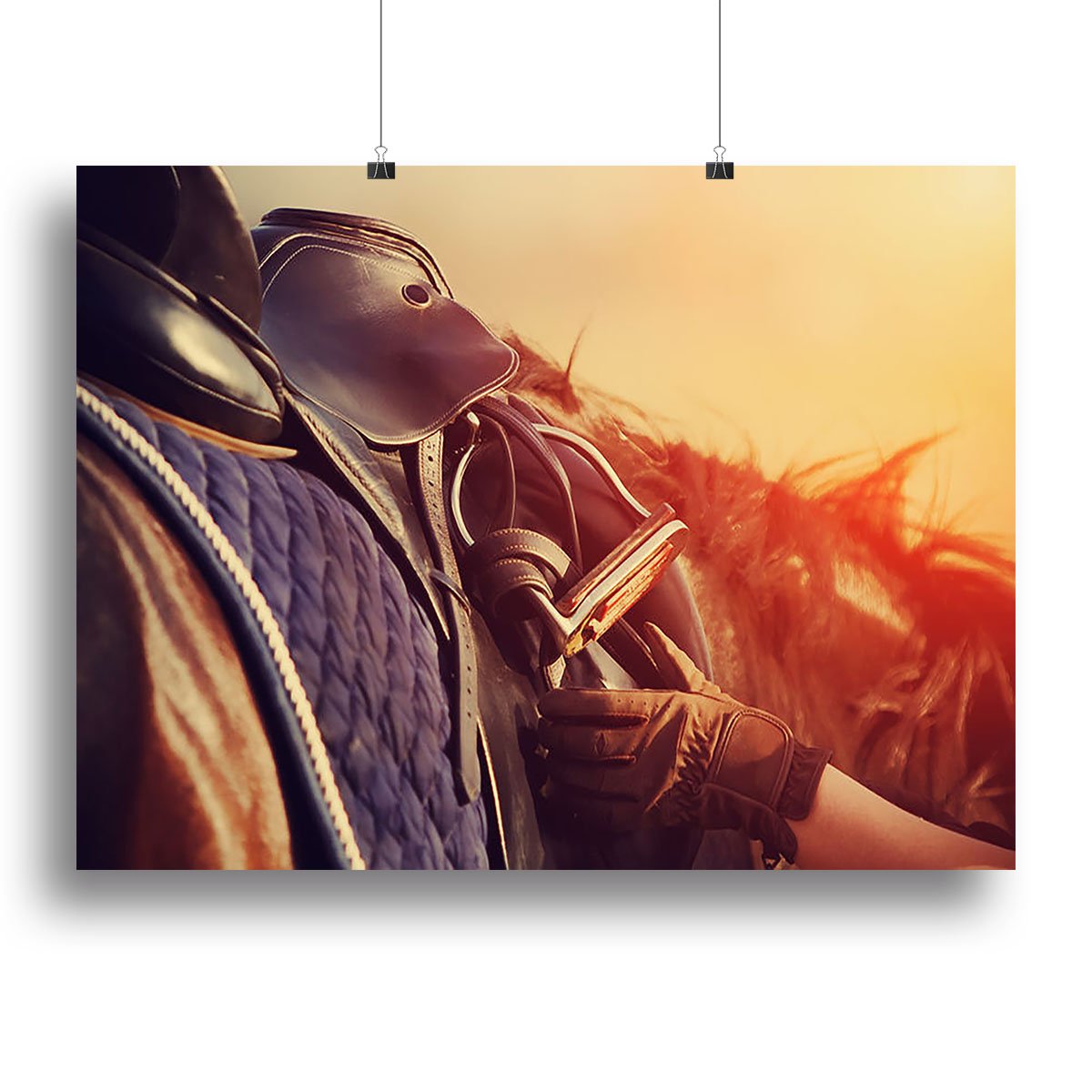 Saddle with stirrups on a back of a horse Canvas Print or Poster