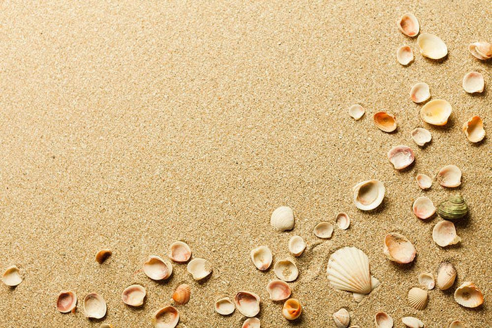 Sand Wall Mural Wallpaper