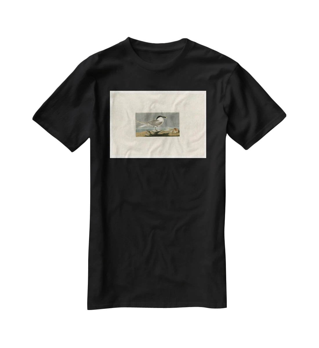 Sandwich Tern by Audubon T-Shirt - Canvas Art Rocks - 1