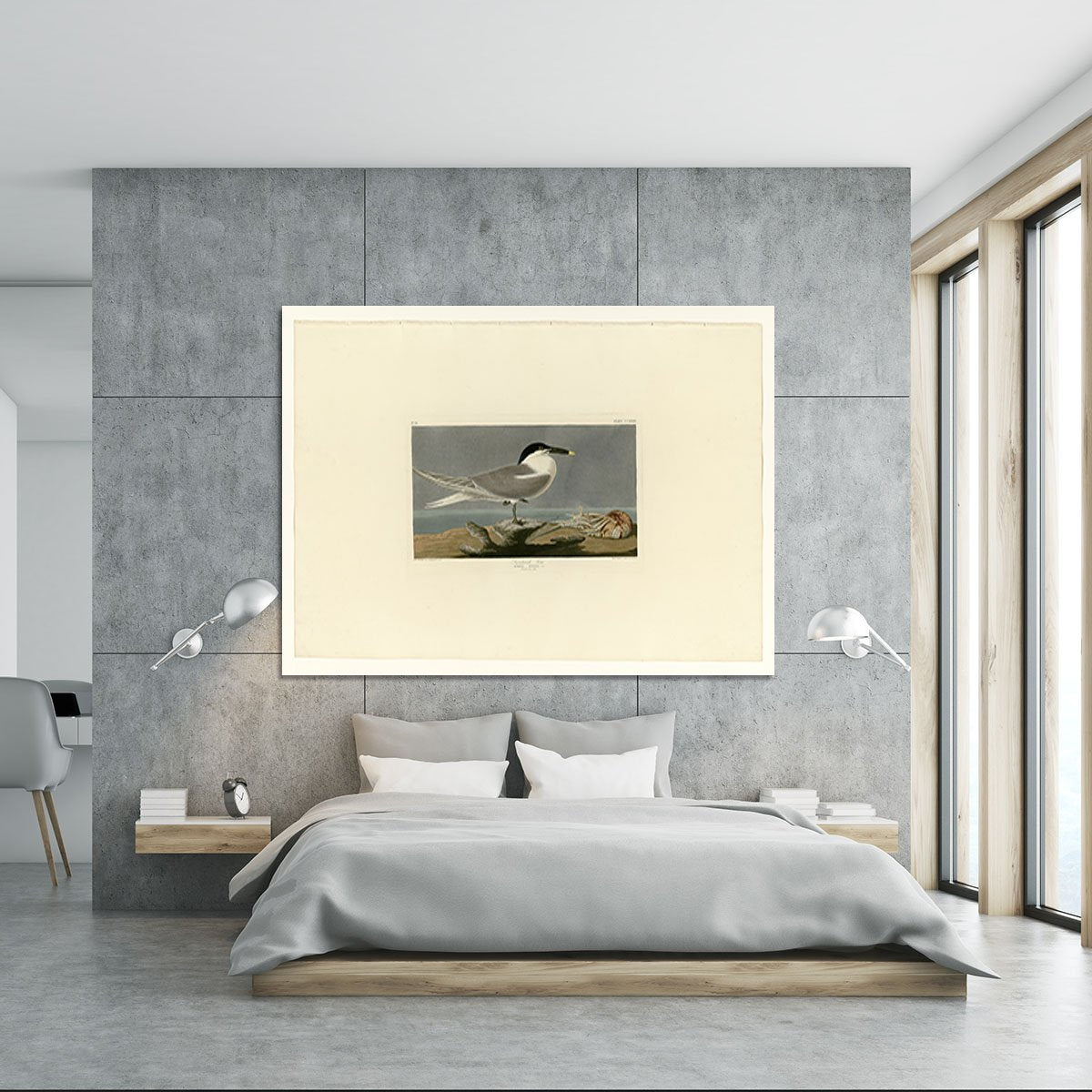 Sandwich Tern by Audubon Canvas Print or Poster