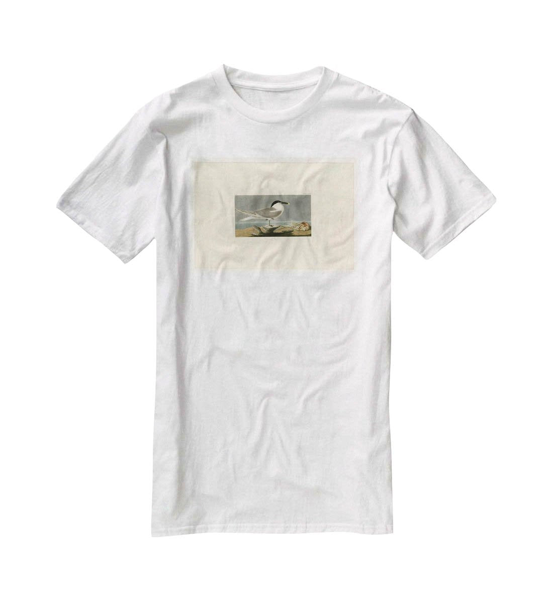 Sandwich Tern by Audubon T-Shirt - Canvas Art Rocks - 5