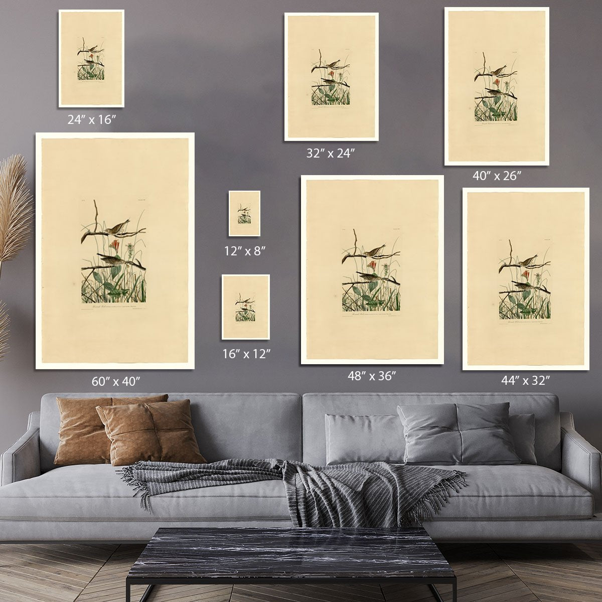Savannah Finch by Audubon Canvas Print or Poster
