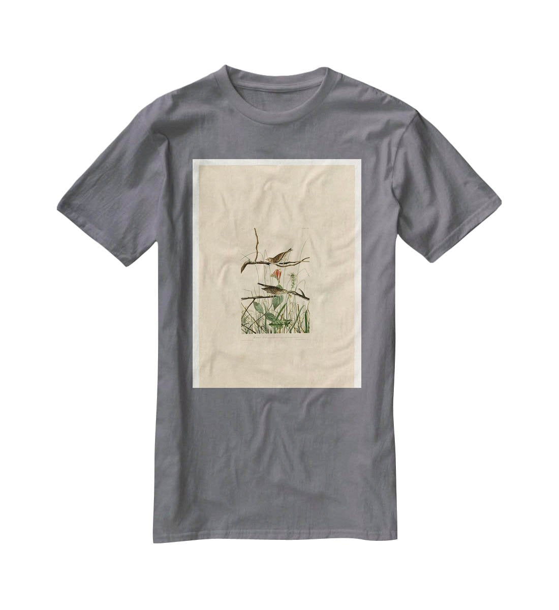 Savannah Finch by Audubon T-Shirt - Canvas Art Rocks - 3