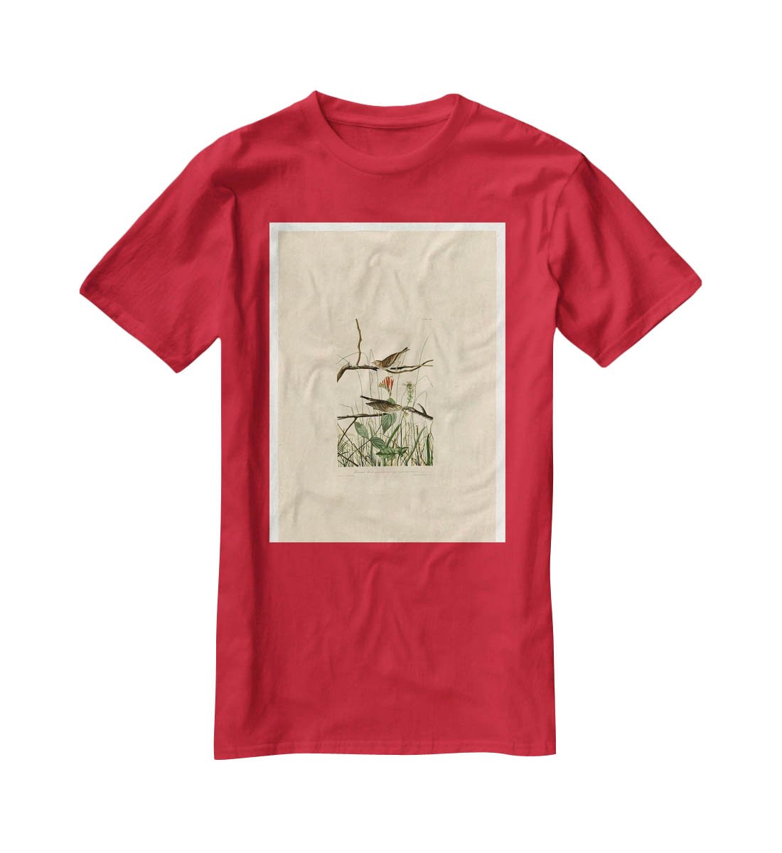 Savannah Finch by Audubon T-Shirt - Canvas Art Rocks - 4