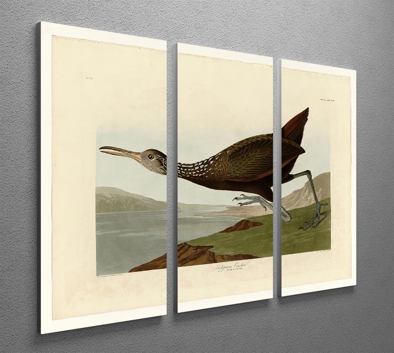Scolopaceus Courlan by Audubon 3 Split Panel Canvas Print - Canvas Art Rocks - 2