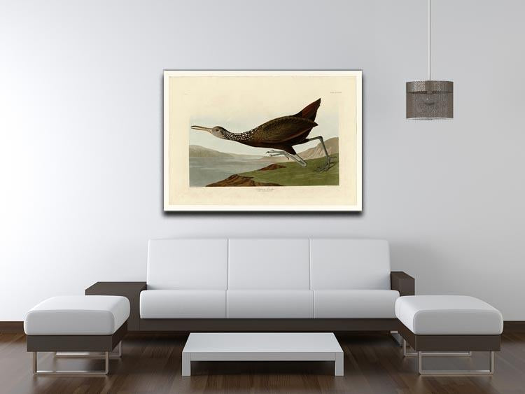 Scolopaceus Courlan by Audubon Canvas Print or Poster - Canvas Art Rocks - 4