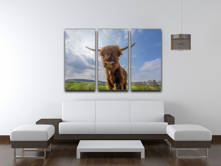Scottish highland cattle on a pasture 3 Split Panel Canvas Print - Canvas Art Rocks - 3
