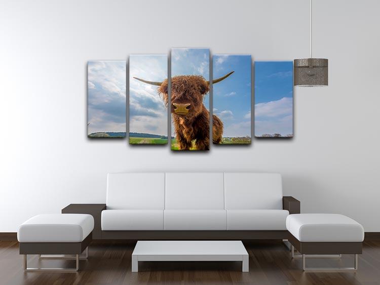 Scottish highland cattle on a pasture 5 Split Panel Canvas - Canvas Art Rocks - 3