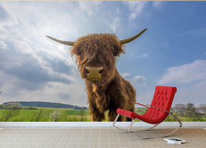 Scottish highland cattle on a pasture Wall Mural Wallpaper - Canvas Art Rocks - 2
