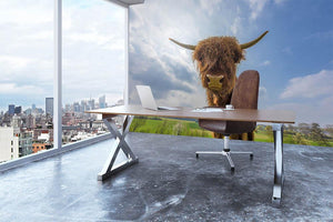 Scottish highland cattle on a pasture Wall Mural Wallpaper - Canvas Art Rocks - 3