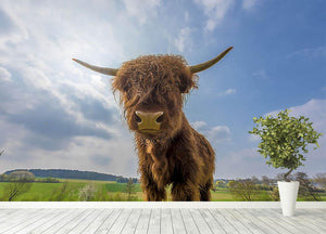 Scottish highland cattle on a pasture Wall Mural Wallpaper - Canvas Art Rocks - 4