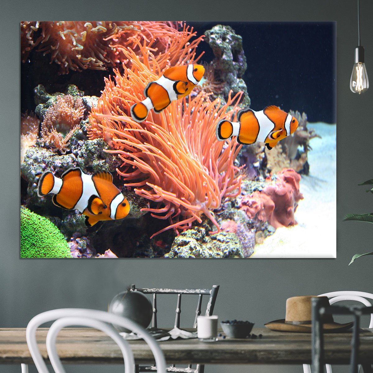Sea anemone Canvas Print or Poster