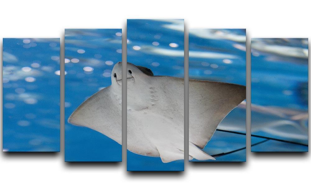 Sea stingray and marine life 5 Split Panel Canvas  - Canvas Art Rocks - 1