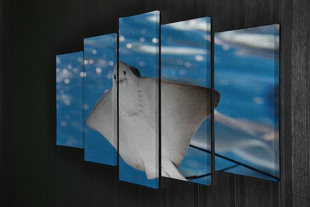 Sea stingray and marine life 5 Split Panel Canvas  - Canvas Art Rocks - 2