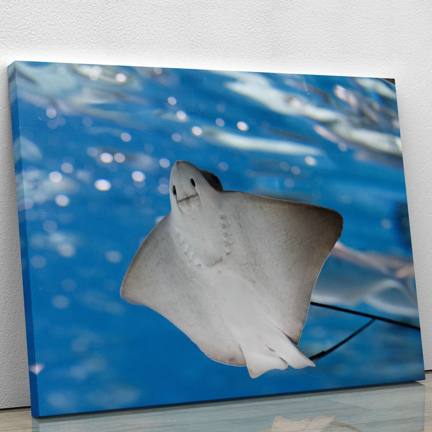 Sea stingray and marine life Canvas Print or Poster