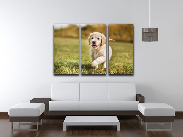 Seven week old golden retriever puppy 3 Split Panel Canvas Print - Canvas Art Rocks - 3