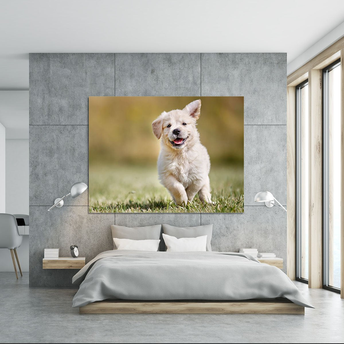 Seven week old golden retriever puppy outdoors Canvas Print or Poster