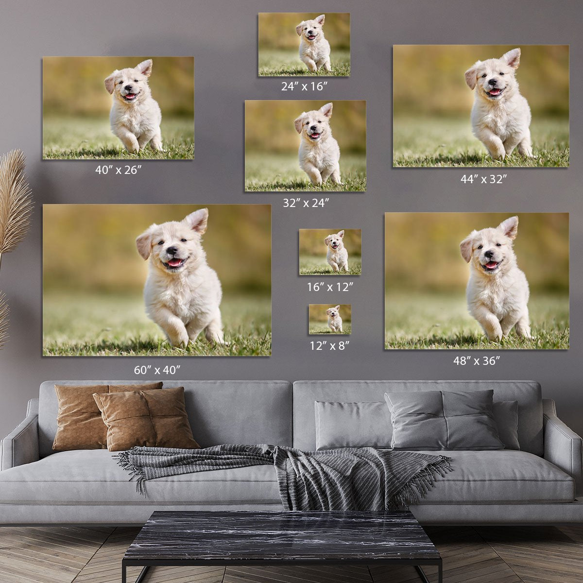 Seven week old golden retriever puppy outdoors Canvas Print or Poster