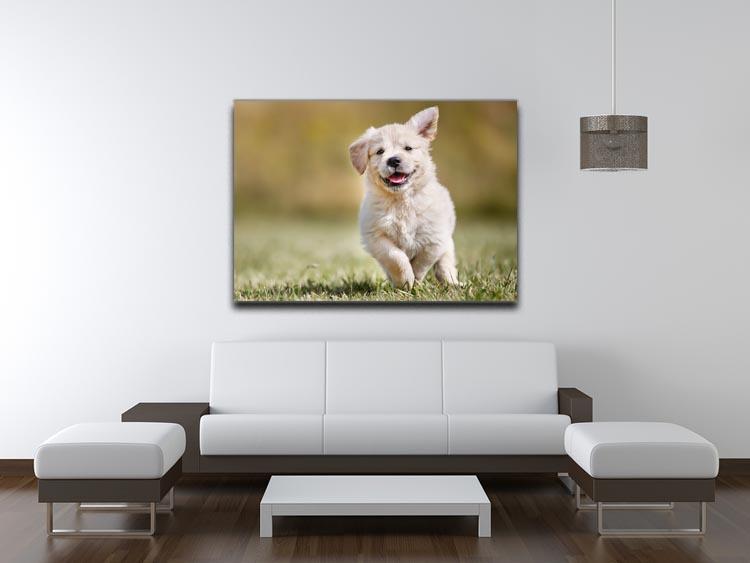 Seven week old golden retriever puppy outdoors Canvas Print or Poster - Canvas Art Rocks - 4