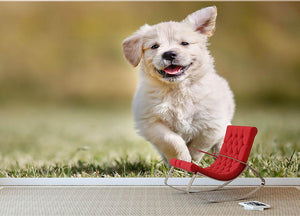 Seven week old golden retriever puppy outdoors Wall Mural Wallpaper - Canvas Art Rocks - 2