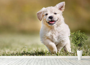 Seven week old golden retriever puppy outdoors Wall Mural Wallpaper - Canvas Art Rocks - 4