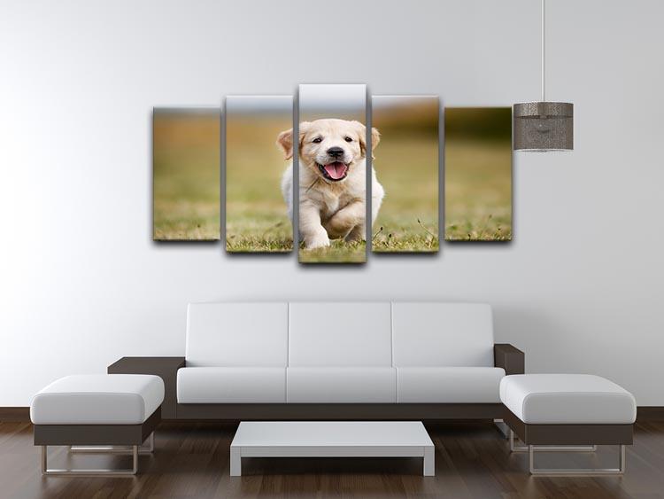 Seven week old golden retriever puppy outdoors on a sunny day 5 Split Panel Canvas - Canvas Art Rocks - 3