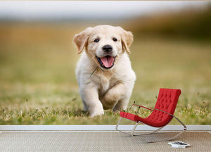 Seven week old golden retriever puppy outdoors on a sunny day Wall Mural Wallpaper - Canvas Art Rocks - 2