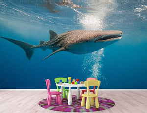 Shark Wall Mural Wallpaper - Canvas Art Rocks - 2