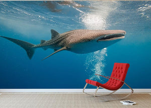 Shark Wall Mural Wallpaper - Canvas Art Rocks - 3
