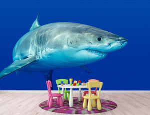 Shark swimming looking for food Wall Mural Wallpaper - Canvas Art Rocks - 2