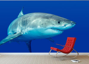 Shark swimming looking for food Wall Mural Wallpaper - Canvas Art Rocks - 3