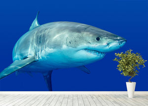 Shark swimming looking for food Wall Mural Wallpaper - Canvas Art Rocks - 4