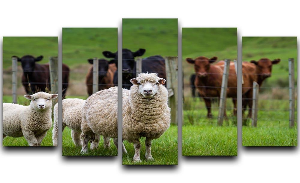 Sheep and cows 5 Split Panel Canvas - Canvas Art Rocks - 1