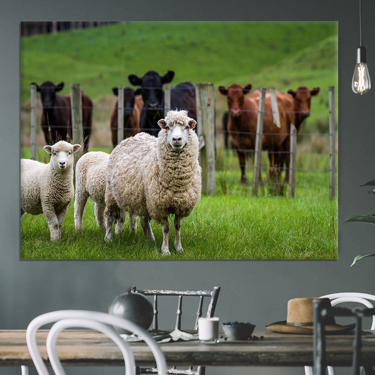 Sheep and cows Canvas Print or Poster