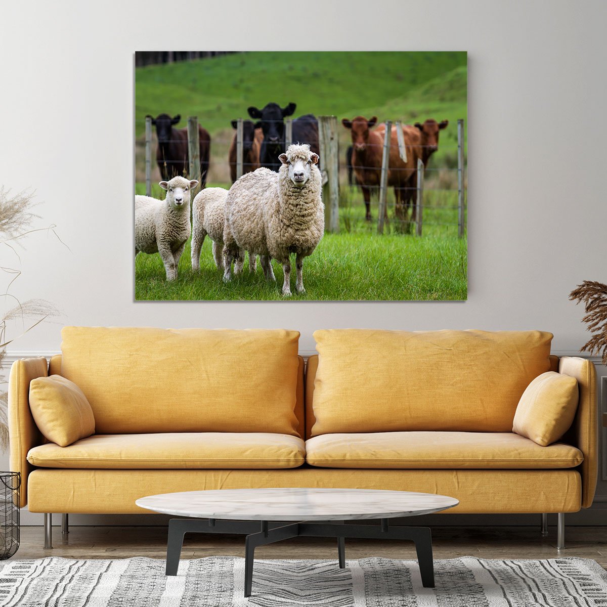 Sheep and cows Canvas Print or Poster