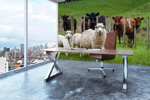 Sheep and cows Wall Mural Wallpaper - Canvas Art Rocks - 3