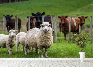 Sheep and cows Wall Mural Wallpaper - Canvas Art Rocks - 4