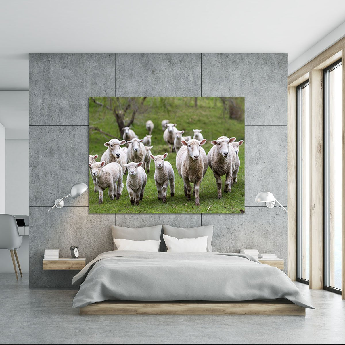 Sheep and lambs in paddock Canvas Print or Poster