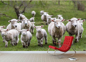Sheep and lambs in paddock Wall Mural Wallpaper - Canvas Art Rocks - 2