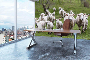 Sheep and lambs in paddock Wall Mural Wallpaper - Canvas Art Rocks - 3