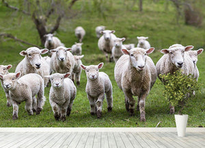 Sheep and lambs in paddock Wall Mural Wallpaper - Canvas Art Rocks - 4