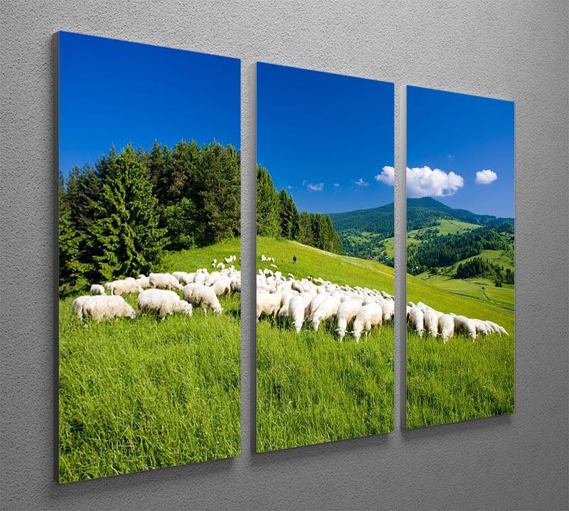 Sheep herds 3 Split Panel Canvas Print - Canvas Art Rocks - 2