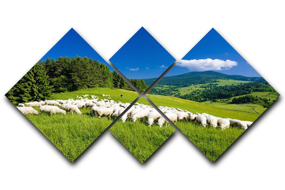 Sheep herds 4 Square Multi Panel Canvas - Canvas Art Rocks - 1