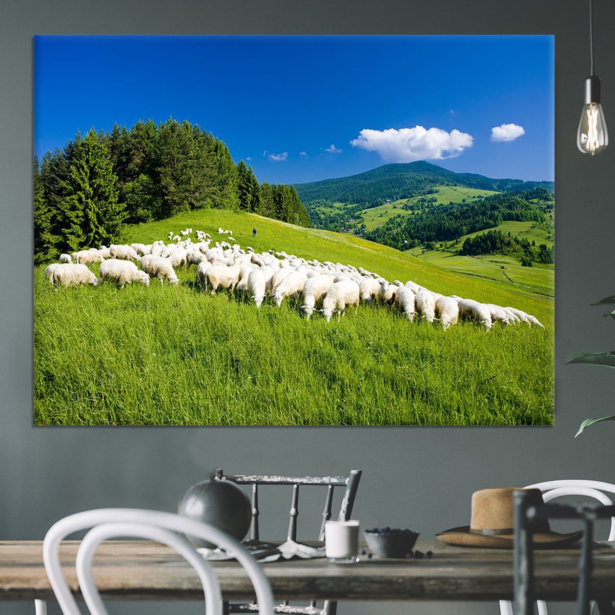 Sheep herds Canvas Print or Poster